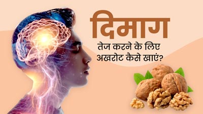 दिमाग तेज करने के लिए अखरोट कैसे खाएं? एक्सपर्ट से जानें सेवन का सही तरीका