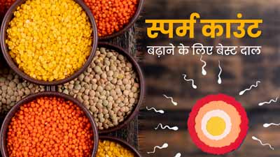 स्पर्म काउंट के लिए कौन सी दाल सबसे अच्छी है? जानें कौन सी दाल खाने से बढ़ता है स्पर्म काउंट