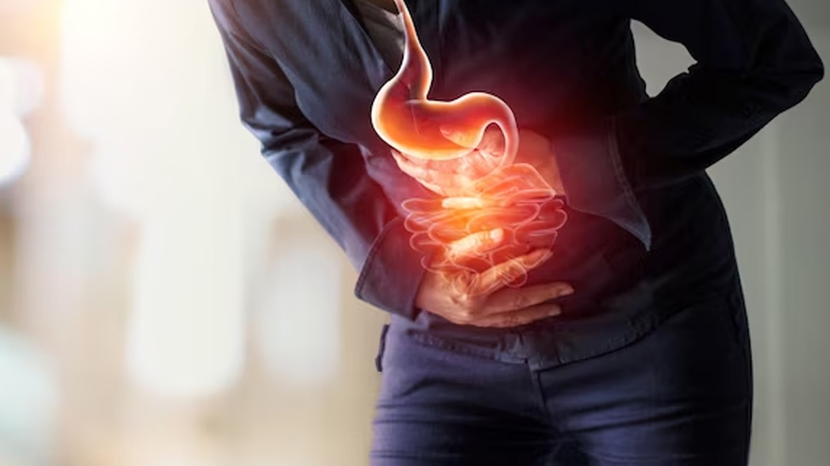 digestion