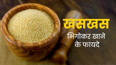 रातभर भिगोकर रखें खसखस, सुबह खाली पेट खाने से सेहत को मिलेंगे जबरदस्त फायदे