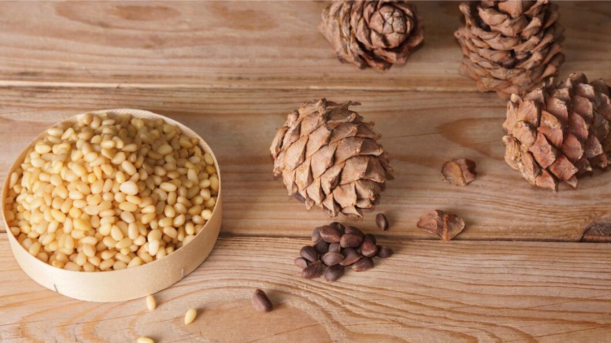 How Many Pine Nuts Should You Eat A Day
