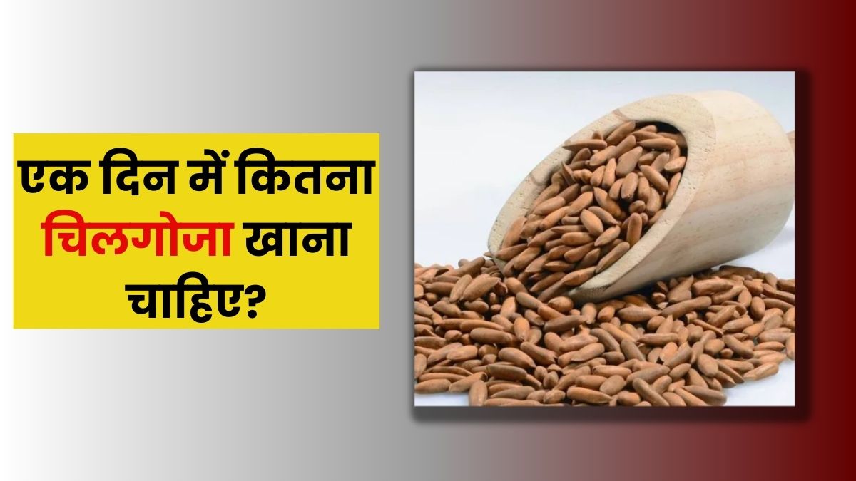एक दिन में कितना चिलगोजा खाना चाहिए? जानें खाने का सही तरीका