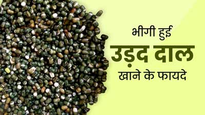 रात में पानी में भिगोकर रखें उड़द की दाल, सुबह खाने से मिलेंगे 5 जबरदस्त फायदे