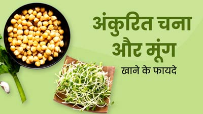 अंकुरित चना और मूंग खाने से सेहत को मिलते हैं ये 6 फायदे, आज से ही बनाएं डाइट का हिस्सा