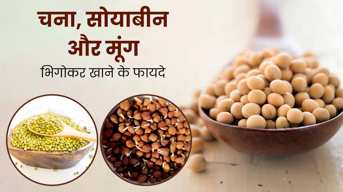 चना, सोयाबीन और मूंग भिगोकर खाने से शरीर को मिलते हैं ये जबरदस्त फायदे, जानें खाने का सही तरीका