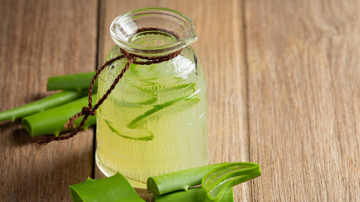 Health Benefits of Aloe Vera in Winters