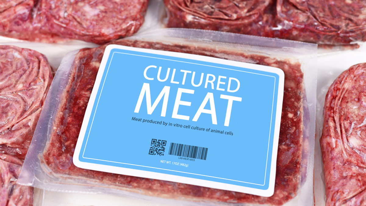 cultured-meat