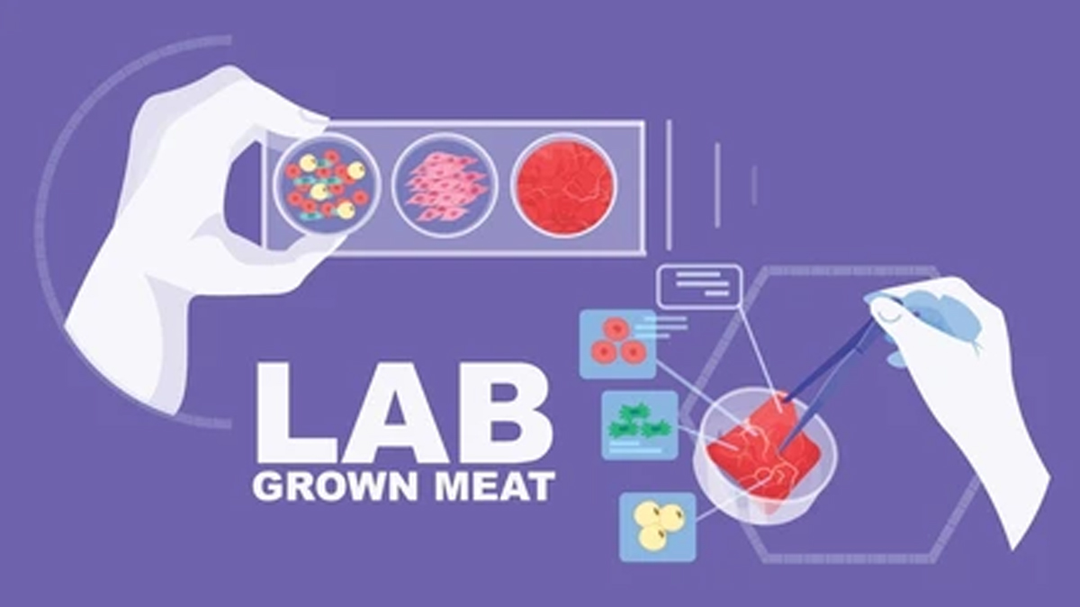 Enjoy Benefits Of Meat Without Killing Animals: Expert Explains Lab ...