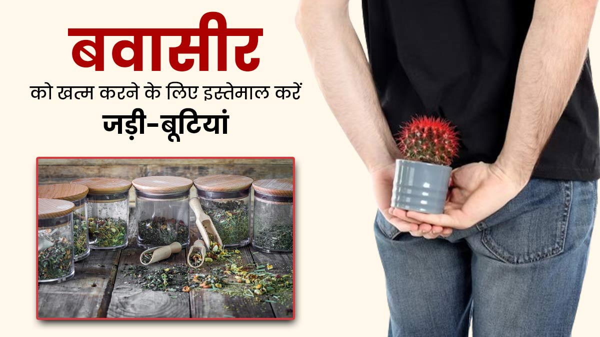 बवासीर को जड़ से खत्म करने में मदद करती हैं ये 3 जड़ी-बूटी, आज से ही करें इस्तेमाल