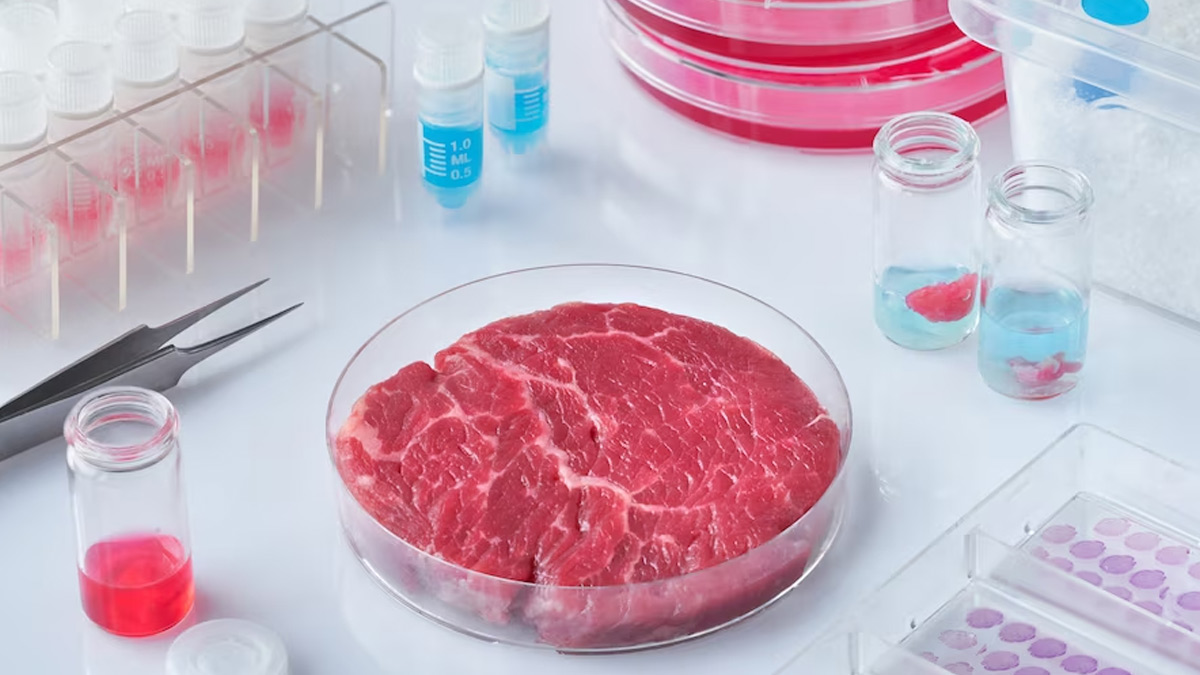 Enjoy Benefits Of Meat Without Killing Animals Expert Explains LabMade Meat, Its Benefits And