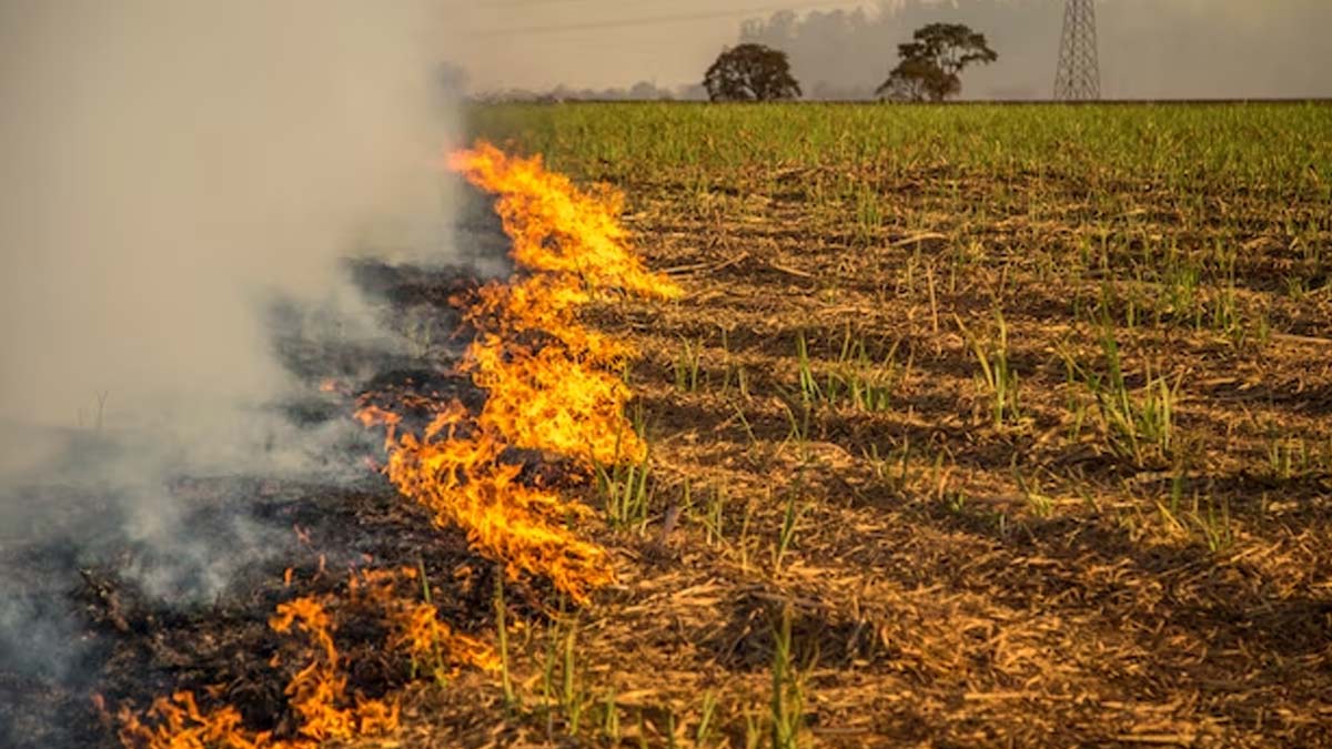 National Pollution Control Day 2023