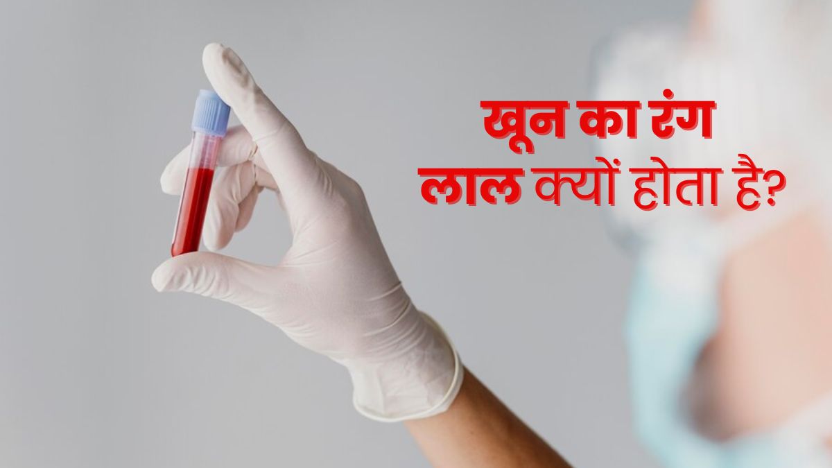 खून का रंग लाल क्यों होता है? जानें इसके पीछे का साइंस