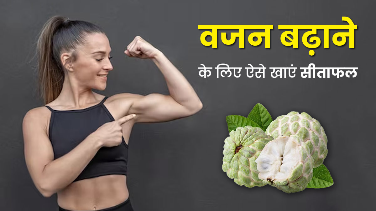 दुबले-पतले लोगों के लिए रामबाण है शरीफा (सीताफल), इस तरह खाने से बढ़ेगा तेजी से वजन