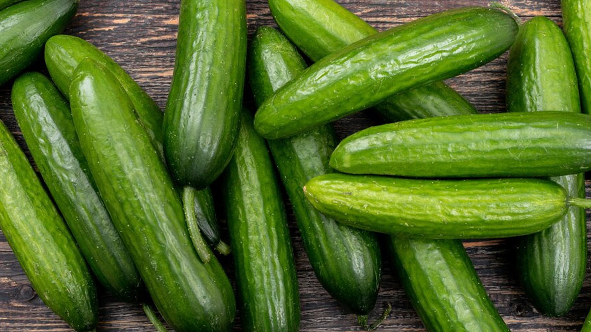 cucumber