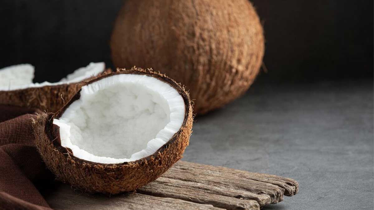 Dry Coconut During Pregnancy