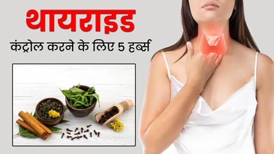 थायराइड कंट्रोल करने के लिए डाइट में शामिल करें ये 5 हर्ब्स और सुपरफूड्स, जानें खाने का सही तरीका 