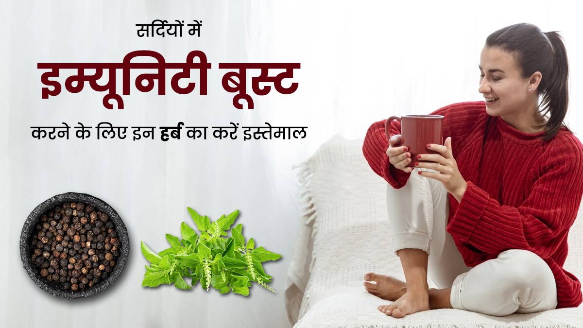 सर्दियों में इम्यूनिटी बूस्ट करने के लिए करें किचन में मौजूद इन हर्ब्स का इस्तेमाल, बीमारियां रहेंगी दूर
