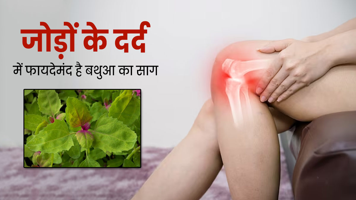 यूरिक एसिड और जोड़ों में दर्द को दूर करता है बथुआ का साग, जानें कैसे करना है सेवन