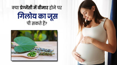 क्या प्रेग्नेंसी में तबियत बिगड़ने पर गिलोय का जूस पी सकते हैं? जानें एक्सपर्ट की राय 