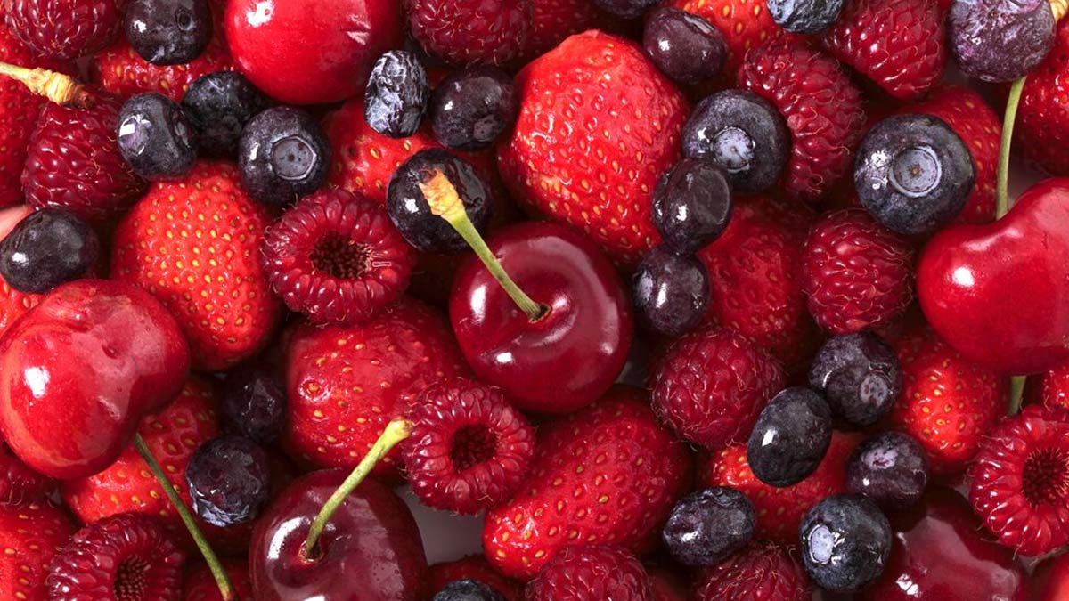 What Are Polyphenols