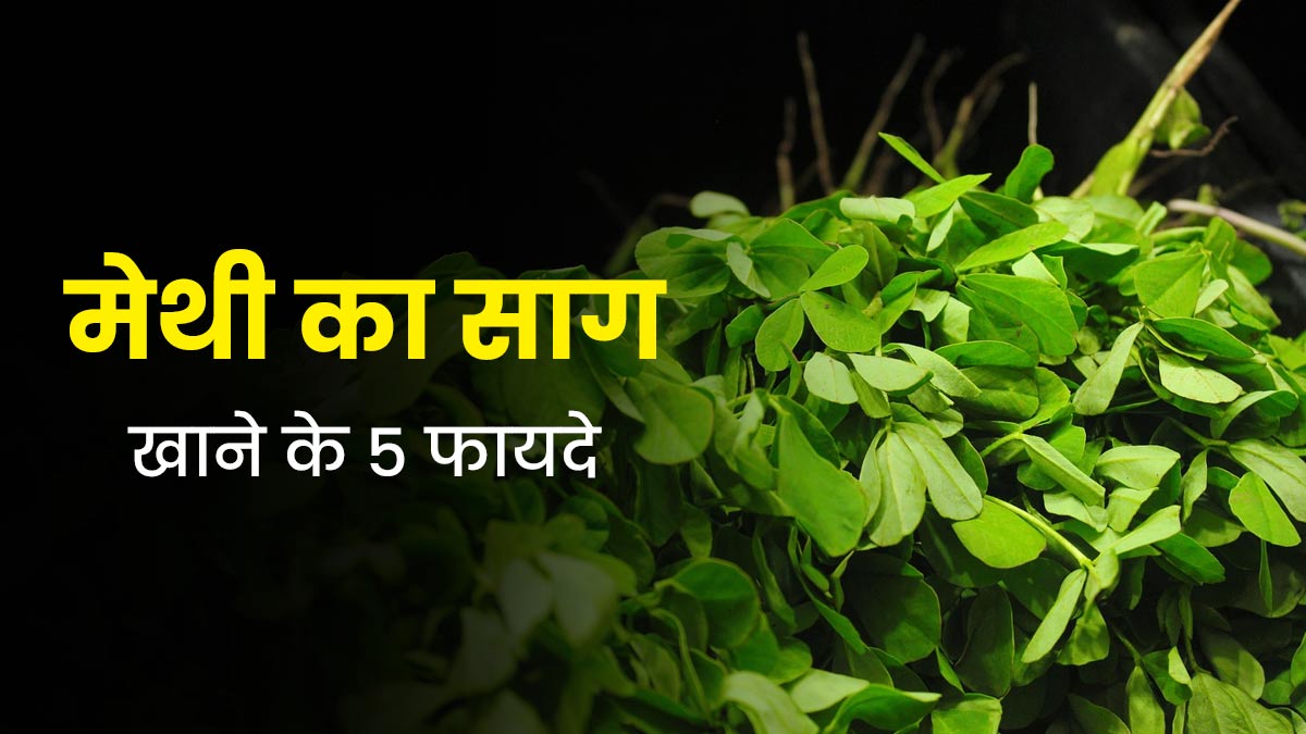 हरी मेथी का साग खाने से सेहत को मिलते हैं ये 5 फायदे, विंटर डाइट में करें शामिल