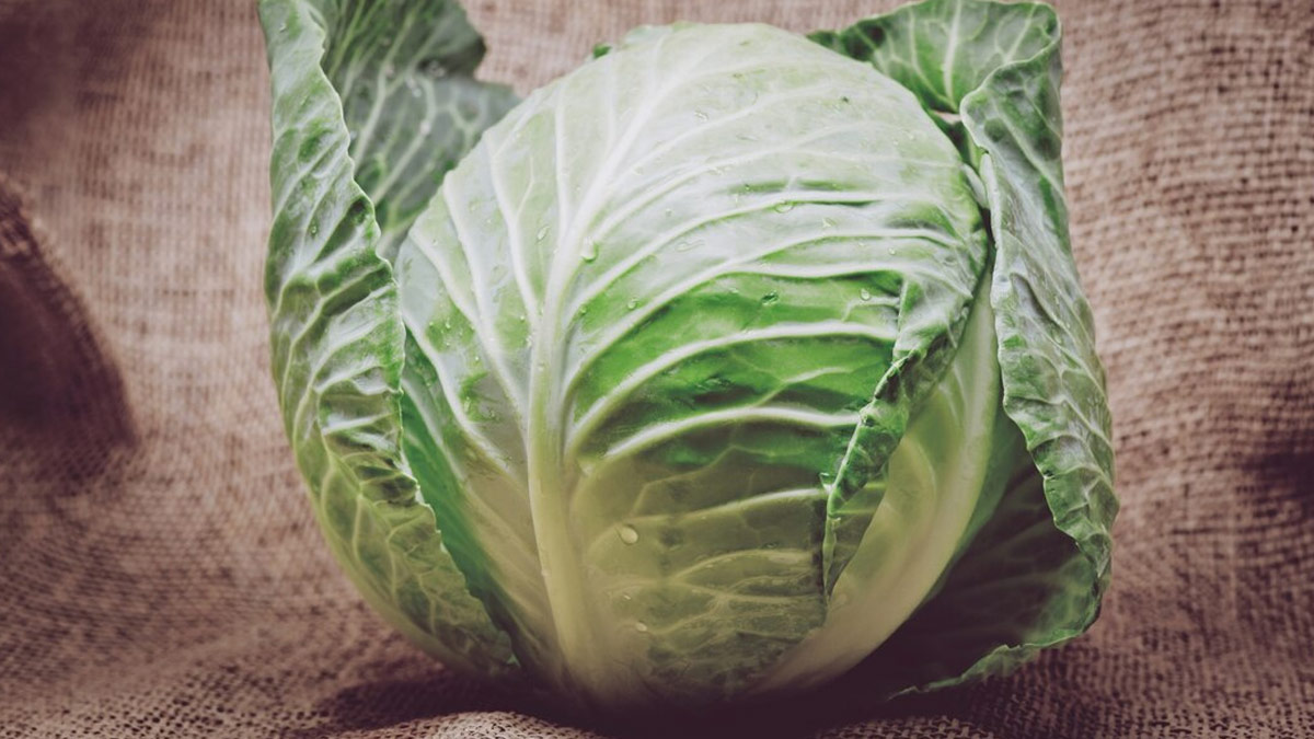 Raw Cabbage Side Effects