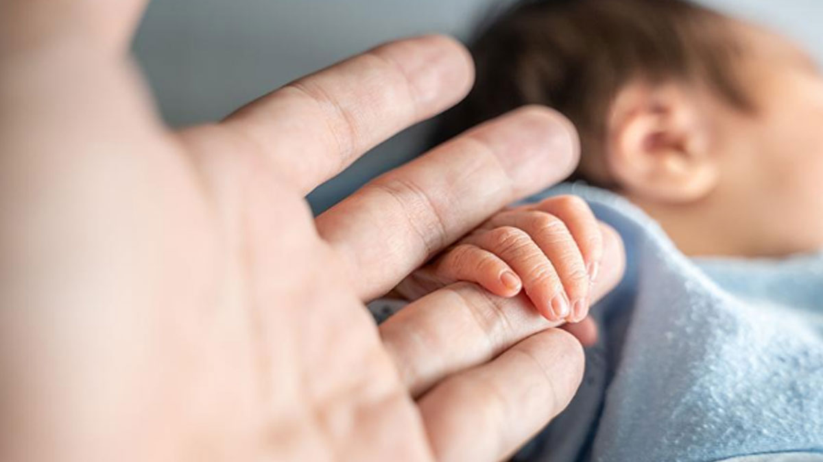The 4 Best Male Fertility Boosters for 2024 [Top Selling Sperm & Fertility Supplements]
