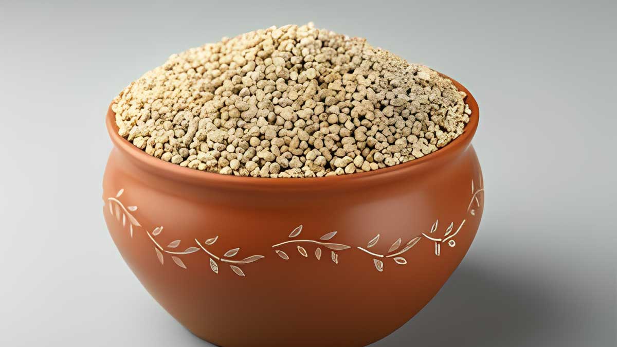 bajra