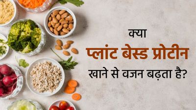 क्या प्लांट बेस्ड प्रोटीन खाने से वजन बढ़ता है? जानें डाइटिशियन से