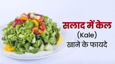 सलाद में Kale खाने से सेहत को मिलते हैं कई फायदे, डाइट में जरूर करें शामिल