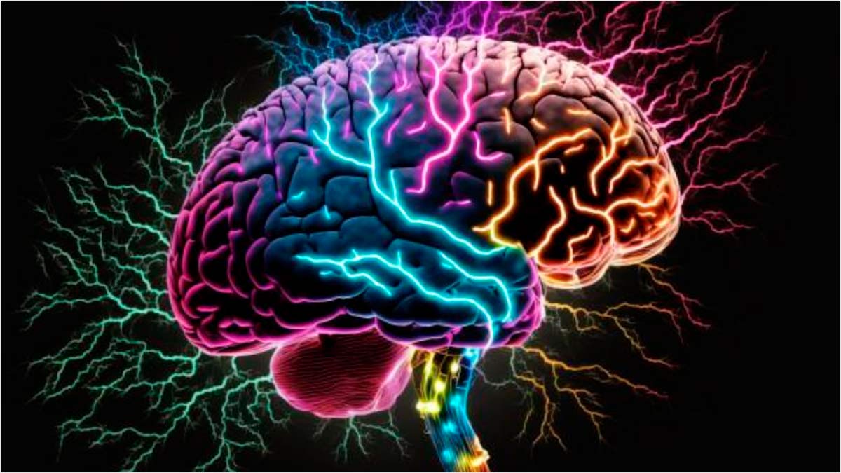 6 Best Nootropics Ranked: Find Out Which Supplements Made the Top 6 List