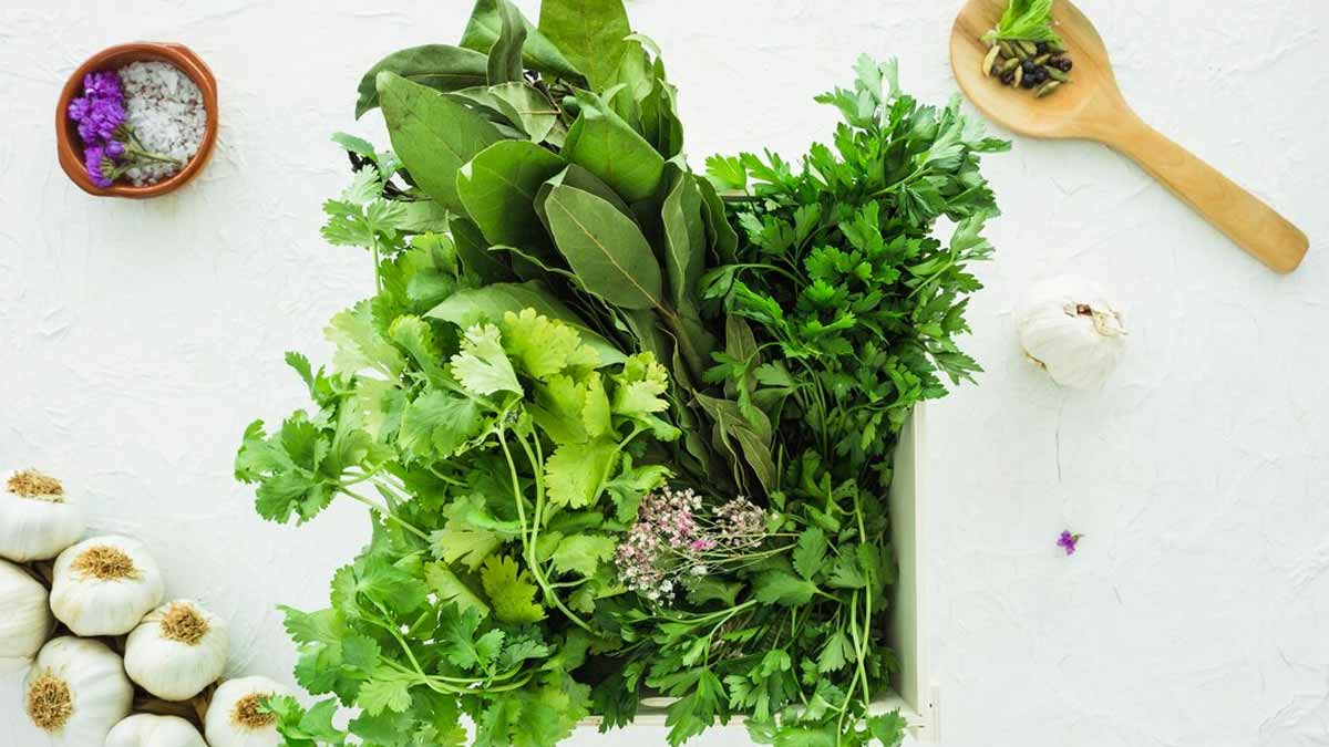 From Coriander To Methi, 7 Super Healthy Green Leaves To Add To Your Diet 