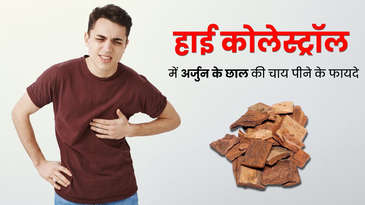 हाई कोलेस्ट्रॉल से छुटकारा पाने के लिए पिएं अर्जुन के छाल की चाय, मिलेंगे जबरदस्त फायदे