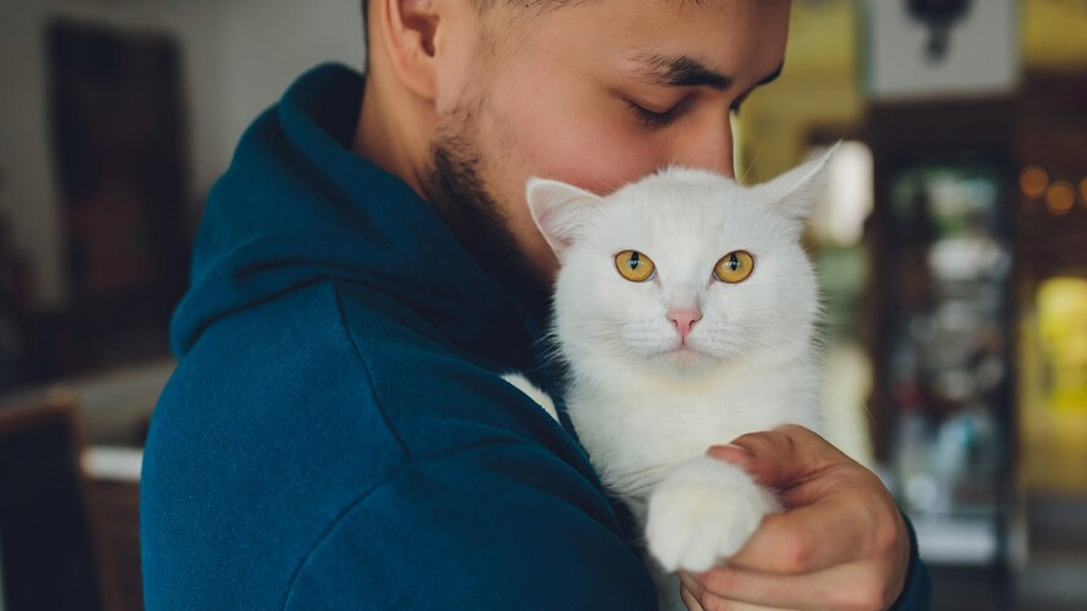 Study Suggests Cat Ownership Linked to Increased Schizophrenia Risk 