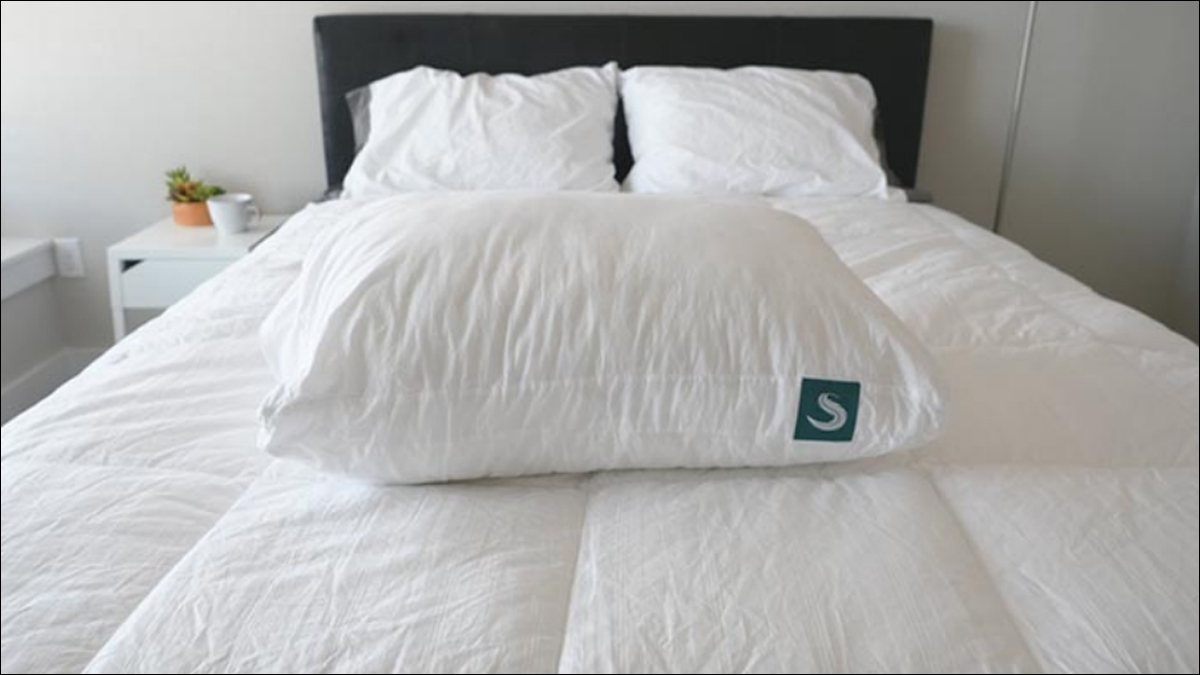 Sleepgram pillow hot sale promo code