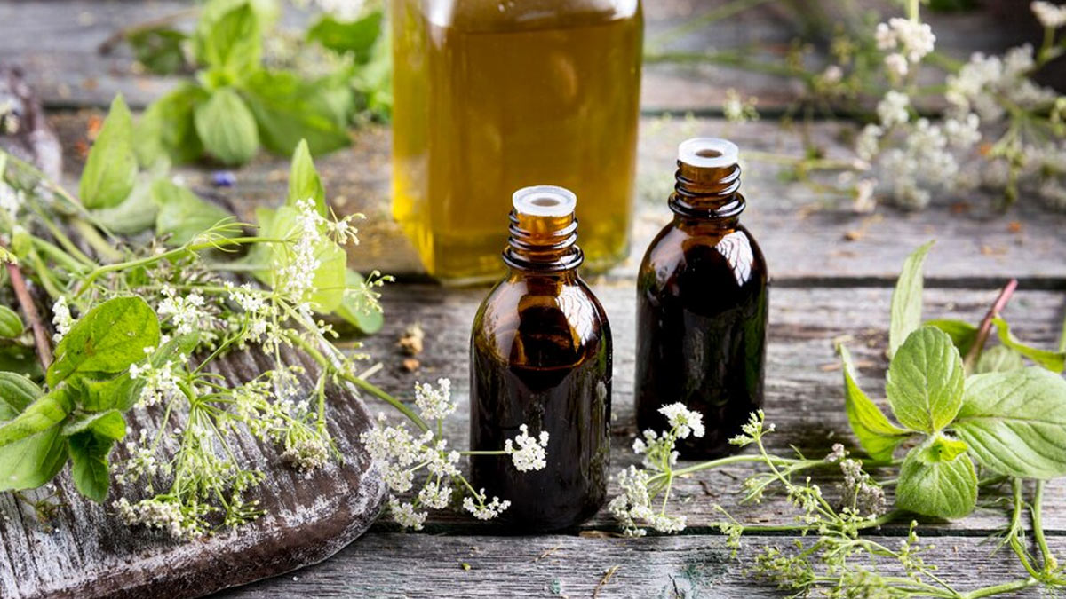 Bhringraj Oil Health Benefits