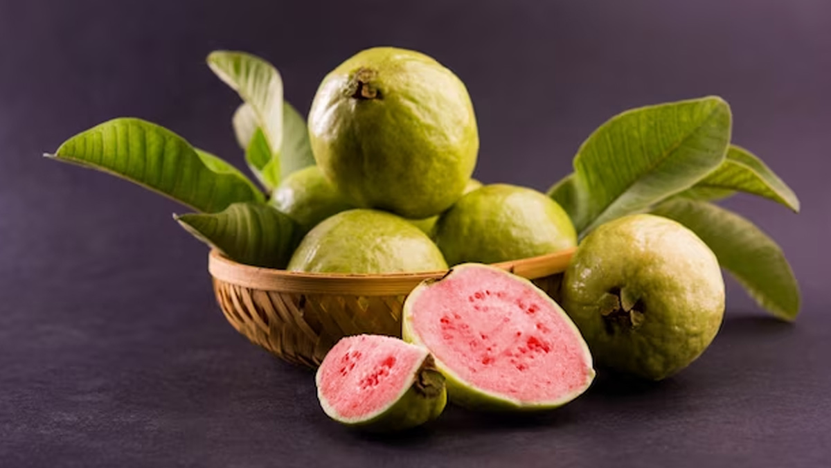 Can Diabetics Eat Guava