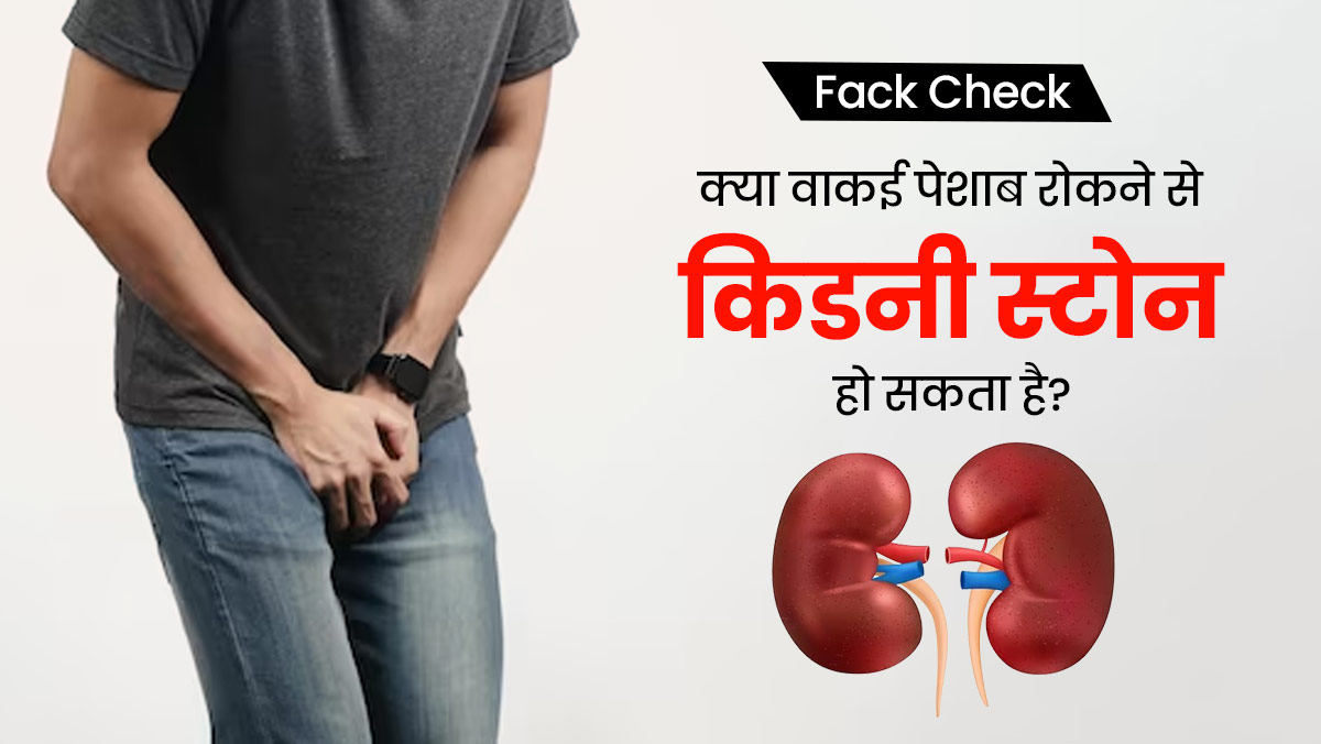 Fact Check: क्या वाकई पेशाब रोकने से किडनी की पथरी हो जाती है? जानें डॉक्टर की राय