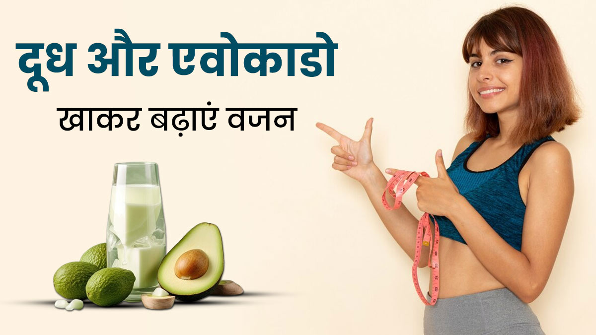 वजन बढ़ाने के लिए करें दूध और एवोकाडो का सेवन, तेजी से होगा Weight Gain