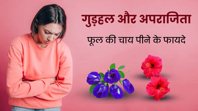 गुड़हल और अपराजिता के फूल की चाय पीने से मिलेंगे कई फायदे, हाई बीपी और पीरियड्स के दर्द से मिलेगी राहत 