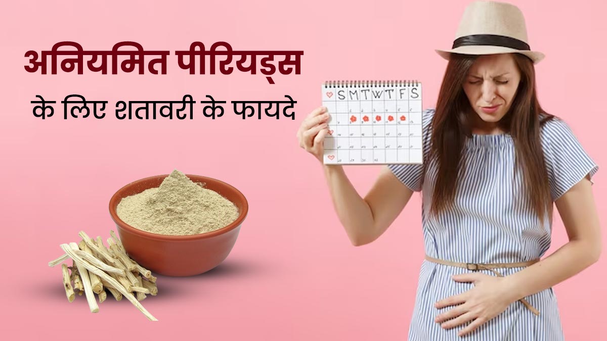 समय पर नहीं आते हैं पीरियड्स? तो इस तरह करें शतावरी का सेवन, दूर हो जाएगी इर्रेगुलर पीरियड्स की समस्या