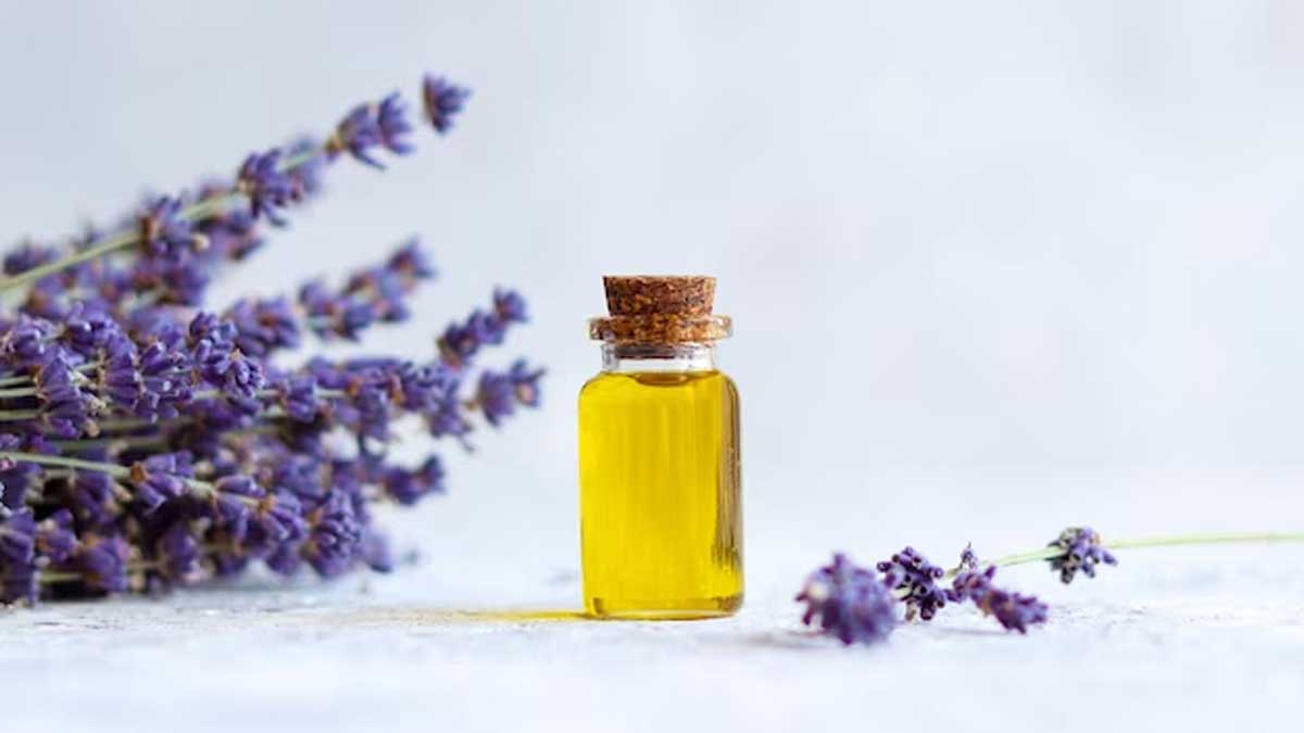 Here Are The Benefits Of Patchouli Oil And Ways To Add It To Your Daily ...