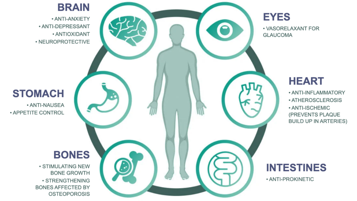 Essential CBD Extract Reviews - Do They Work?