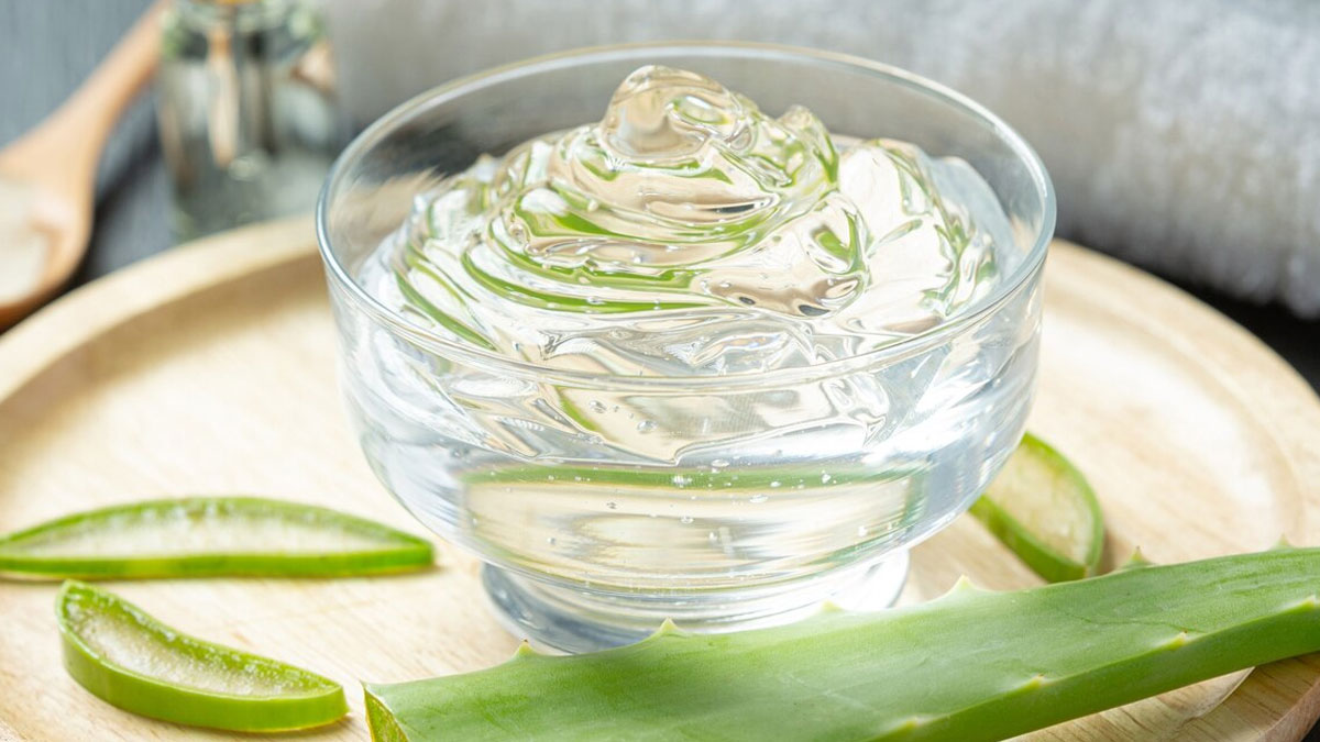 aloe vera