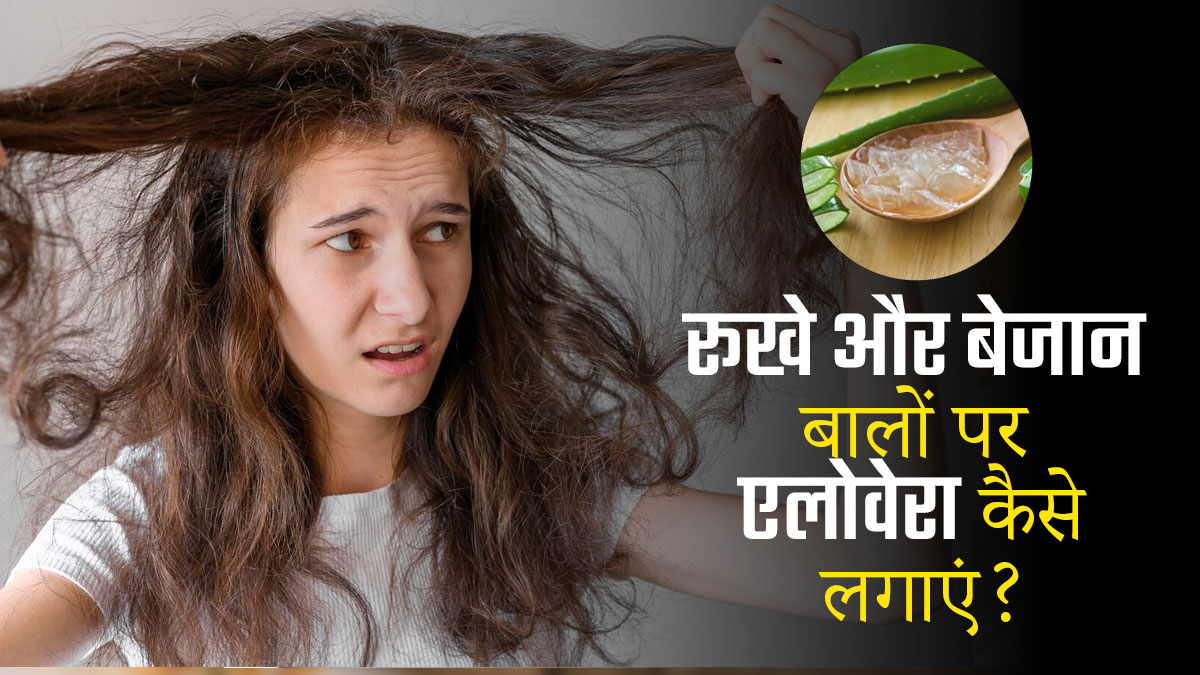 सर्दियों में रूखे और बेजान बालों पर इन 3 तरीकों से लगाएं एलोवेरा, दूर हो जाएगी समस्या