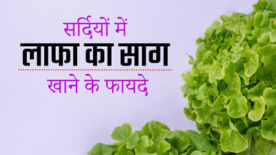 सर्दियों में लाफा का साग खाने से शरीर को मिलेंगे ये 5 जबरदस्त फायदे, आज से ही करें डाइट में शामिल 
