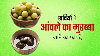 सर्दियों में आंवले का मुरब्बा खाने से शरीर को मिलेंगे ये 5 जबरदस्त फायदे, आज से ही करें डाइट में शामिल 