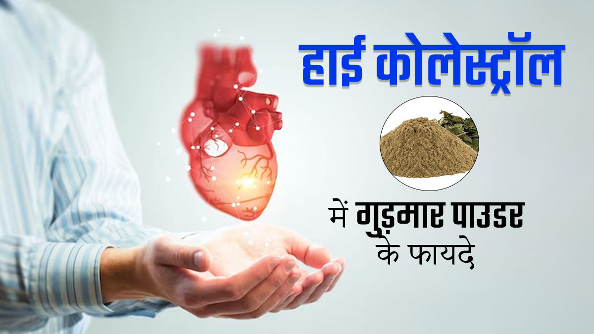 हाई कोलेस्ट्रॉल में करें गुड़मार पाउडर का सेवन, मिलेंगे जबरदस्त फायदे
