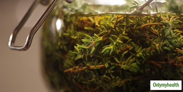 Power of Oregano Oil: 7 Health Benefits to Improve Overall Well-being