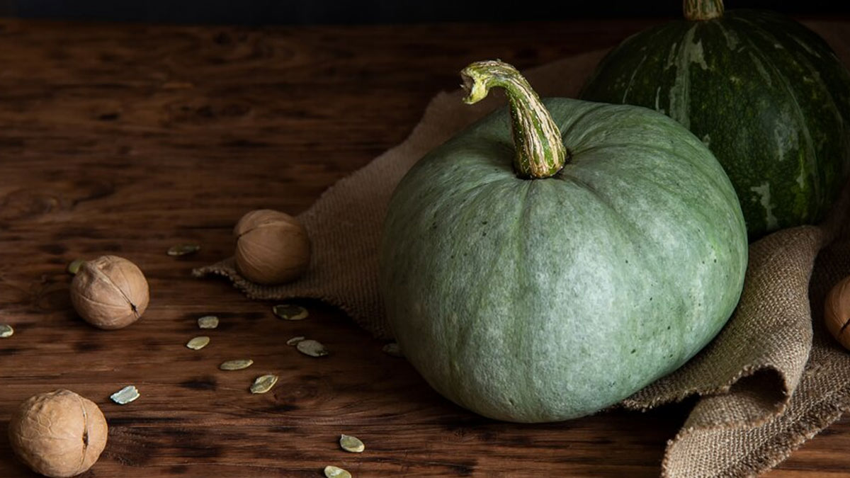 How To Make Ash Gourd Juice At Home To Boost Your Urinary Health